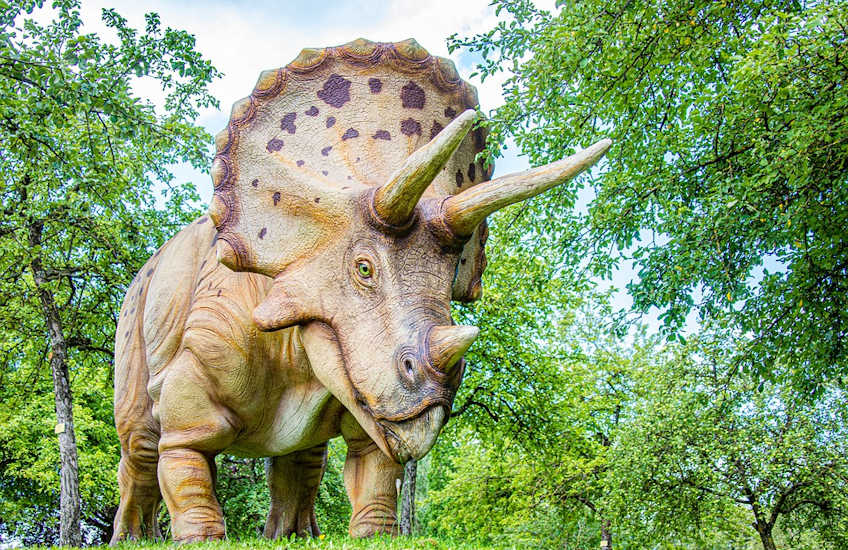 Meze dinosaur park Meze dinosaur park