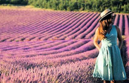 Provence holidays